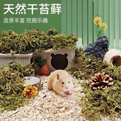 仓鼠金丝熊苔藓干净无灰尘无杂质干苔笼子饲养箱小宠饲养专用垫料