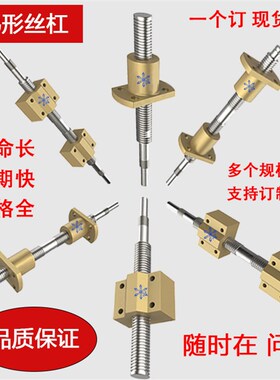 LJG11 13 14 15 17 18 01 03 04 25 27 28 34 23 24梯形丝杠组件