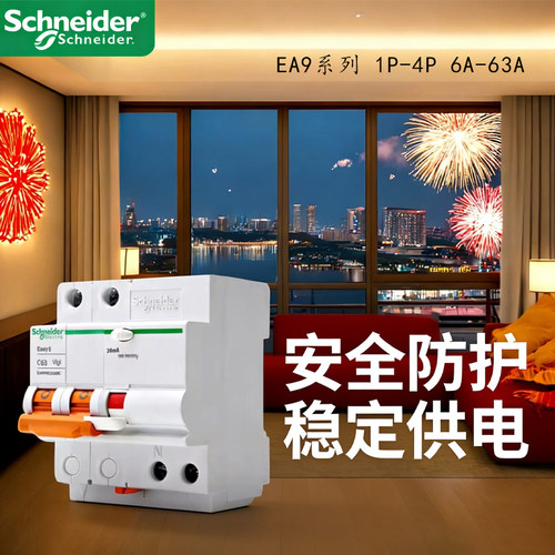 施耐德2P63A带漏电保护断路器