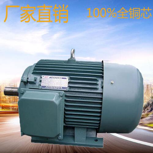 Y系列三相异步电动机 YE290L-2 2.2KW 380V福建闽东电机