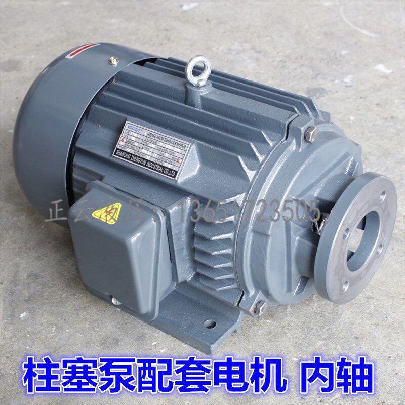 柱塞泵电机配套电动机直插内轴3KW 4KW 5.5KW 7.5KW11KW 15KW卧式