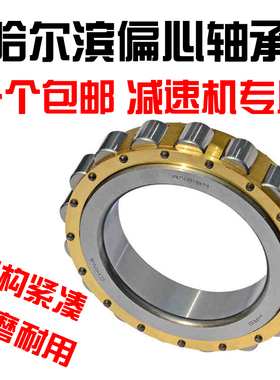 哈尔滨减速机偏心轴承RN204 205 RN206 307 308 309 312 219 222M
