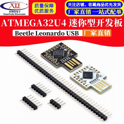 Beetle Leonardo USB ATMEGA32U4 迷你型开发板