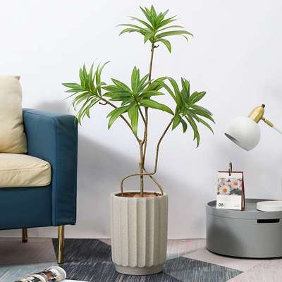 白色花盆陶瓷家用花瓶粗陶发财树专用盆栽龟背竹金钱树种树柠檬树