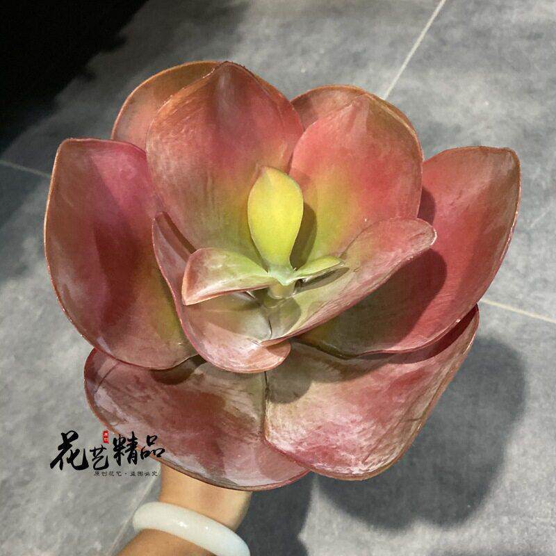 红色仿真多肉植物客厅卧室壁挂装饰品石莲田园草摆放花艺莲仙人
