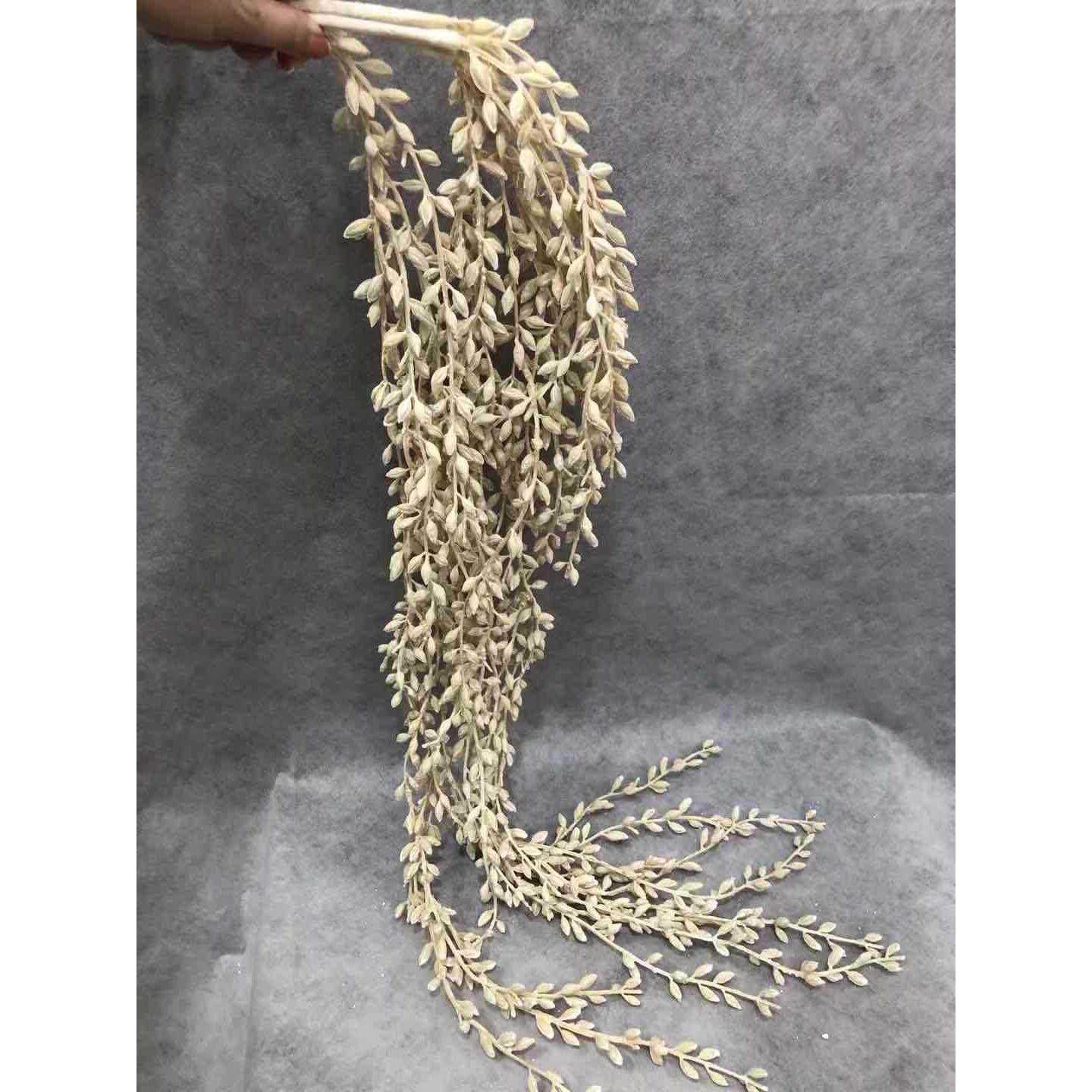 仿真米粒草情人泪垂吊珍珠花吊垂顶鹿角植物仿真花婚庆装饰雾凇