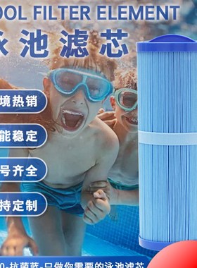 蓝色儿童游泳池SPA浴缸浮筒滤芯PWW50L4CH-949FC-0172泳池滤芯