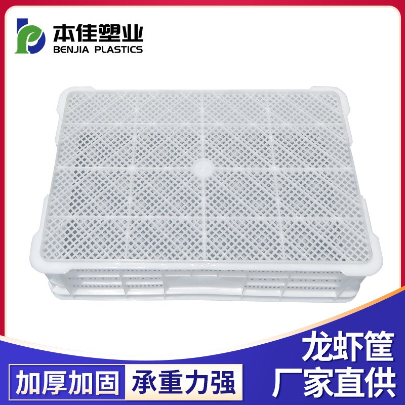 塑料周转筐白色塑料龙虾筐水产海鲜运输筐镂空鸡苗鸭苗周转筐