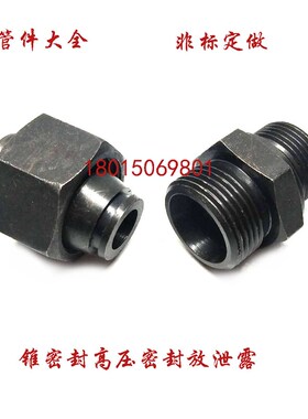 JB/T6381.1锥密封直通4202高压焊接6144.1H型耐高温密封液压直通