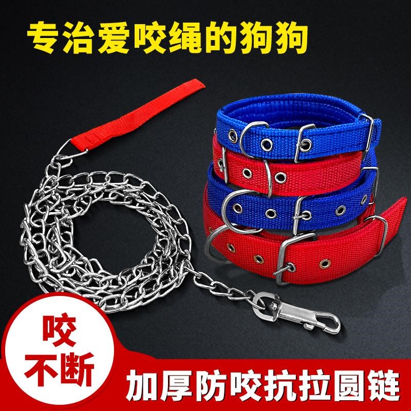 狗链子小中大型犬铁链泡棉项圈脖套牵引绳防咬狗绳拴狗链子遛狗绳