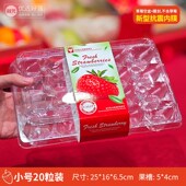 盒带盖防震奶油草莓礼品打包盒20粒装 鲜元 一次性塑料草莓盒包装