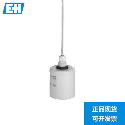 E+H超声波液位计探头 FDU92G2 恩德斯豪斯Ene+Hue
