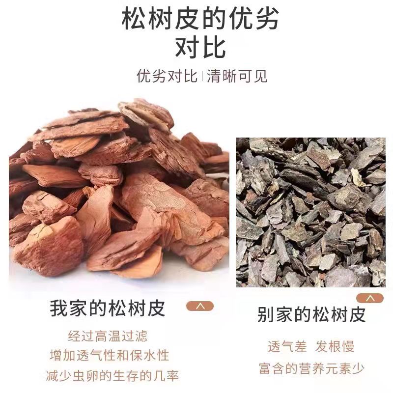 打磨松鳞松树皮有机覆盖物树穴树坑花园庭院别墅造景土壤覆土抑草