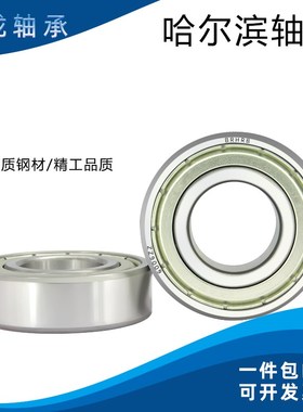 哈尔滨BRHRB轴承 6008 6009 6010 6011 6012 6013 6014 6015-2Z/R
