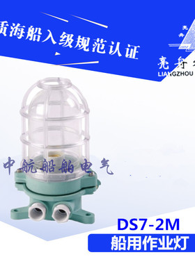 上海亮舟船用塑料白炽作业灯DS7-2M 220V15W吸灯式合成树脂明红黄