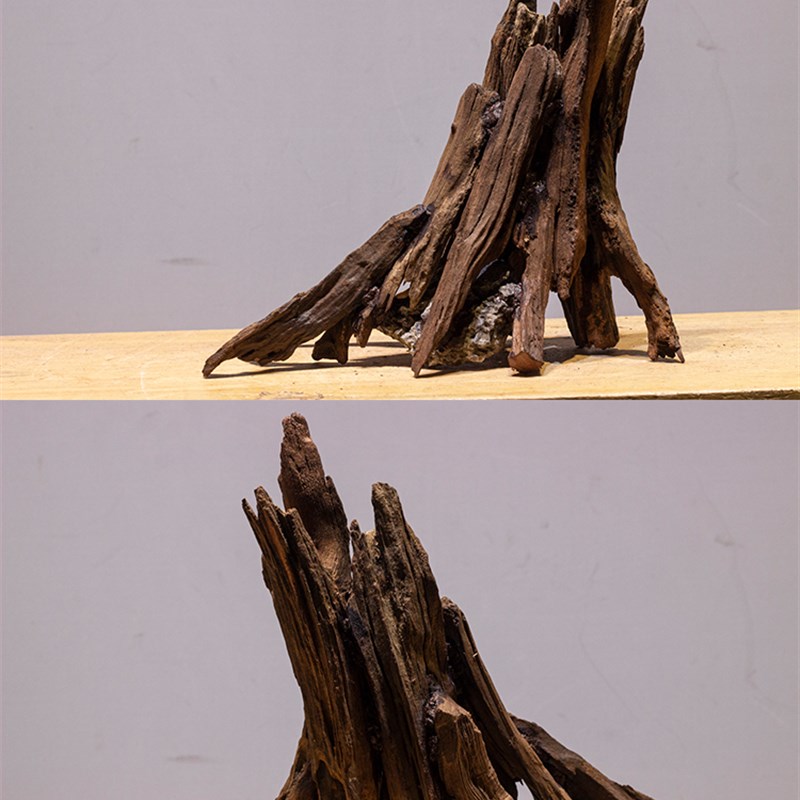 树桩沉木生d命之树造景水族造景组合沉木树林枯木鱼缸造景木小缸