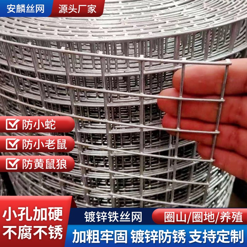镀锌铁丝网围栏网鸡鸭鹅兔t鸟笼养殖网鼠蛇防护网养殖网格网铁丝