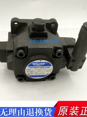 SHENYU HVP-30-FA3 HVP-40-FA3 高压叶片泵HVP-30-140 HVP-40-140