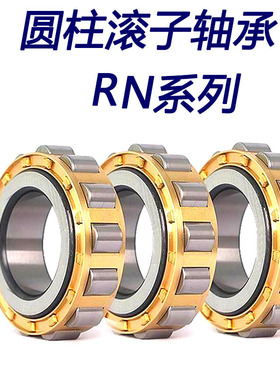 圆柱滚子轴承RN306 RN307EM RN309EM RN310EM RN312 EM减速机轴承