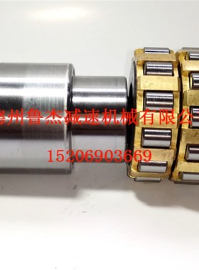 摆线针轮减速机专用配件偏心轴承RN307M502307带偏心轴偏心套