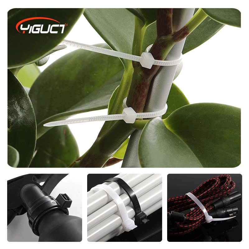 尼龙扎带厂家大量生产3x10v0*4*150*5*600塑料自锁扎条易拉得