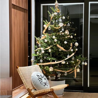 一件代发圣诞树真树家用大小型室B内外盆栽活的圣诞树松树诺贝松