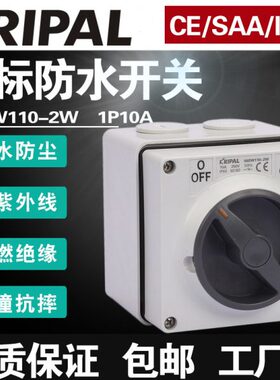 科瑞普56SW110-2W户外防水旋转澳式10A工业单控500V开关方形IP66