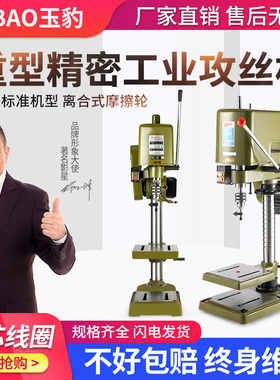 攻丝机大功率重型工业台式攻牙机螺丝攻机小型全自动SWJ-12套丝螺