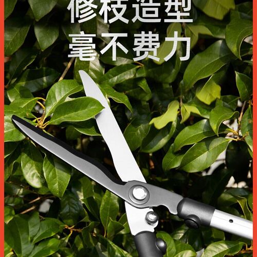 德国麦思德伸缩大剪刀园林强力花卉园艺绿化篱笆工具修剪树枝剪子