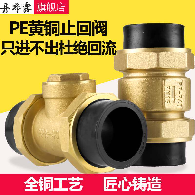 PE给水管止回阀铜卧立式双活接单向阀自来水管逆止阀4/6分DN20/25