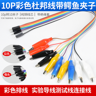 杜邦公母头转鳄鱼夹线10条彩色实验测试线带鳄鱼夹子线30CM5色