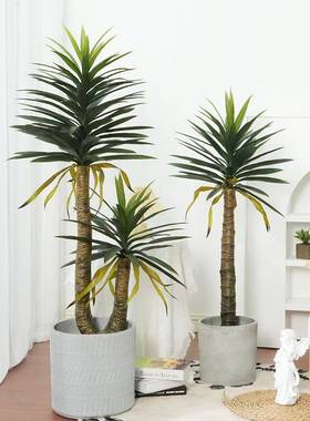 人造热带植物剑兰盆景大型仿真植物剑麻盆栽室内落地假绿植龙舌兰