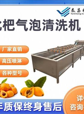 多功能枇杷气泡清洗机枇杷去泥喷淋清洗设备不锈钢枇杷清洗流水线