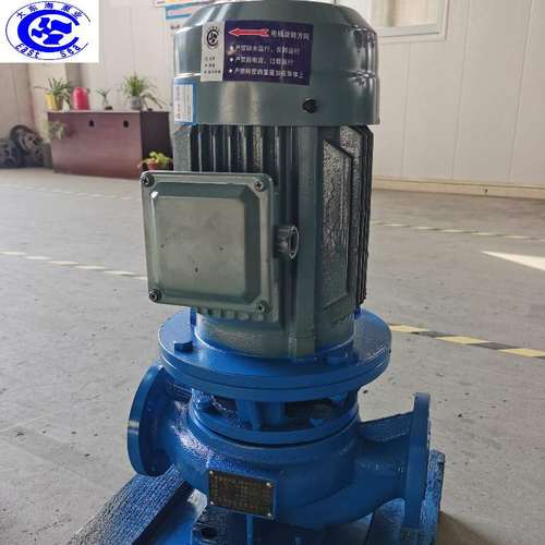 GW管道离心泵干式无堵塞立式污水管道泵铸铁材质管道排污泵增压泵