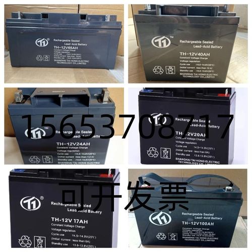 台洪蓄电池TH-12V100AH65A40A24A17A150A200AH直流屏UPS/EPS电源