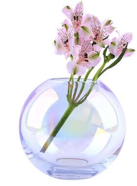 花瓶摆件客厅插花透明玻璃现代简约插花花器清新百合装饰玫瑰餐桌