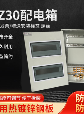 科美帝豪华型PZ30室内照明明装配电箱暗装家用回路双排强电箱工程