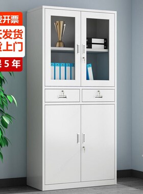 铁皮文件柜办公室档案柜资料柜财务会计凭证柜储物柜中二斗铁皮柜