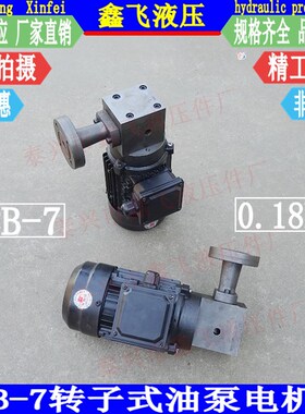 ZB-7转子式油泵SKB-7防爆油泵电机ZCB-7减速机循环泵180W YS6324
