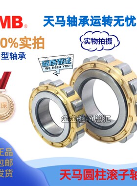天马TMB减速机轴承RN205 206 307 308 309 312 222 219 328  M Z1