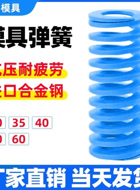G10模具TL蓝色弹簧 65MN矩形扁线弹簧压力弹簧弹弓30/35/40/50/60