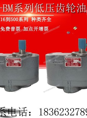 CB-BM16/20/BM25/M32/BM40/BM63/M50齿轮泵CB-BM80/BM125/BM100-3