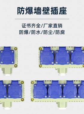 防爆插座五孔十孔220V 10A明装暗装开关多孔防水防尘插座380V 16A
