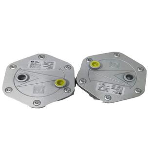 直供意大利菲奥过滤器Fiorentini 10603/F DN25过滤器 量大从优