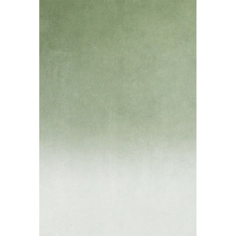 绿色肌理渐变色影楼婚纱摄影个性艺术写真背景墙纸毕业照商拍淘宝