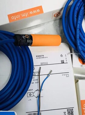 IFM易福门EVC030 EVC015 EVC033 EVC031 EVC029 E11898 E11572