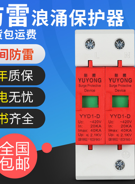 电浪涌保护器2P防雷器220V光伏家用家电避雷器40KA单相雷雨保护器