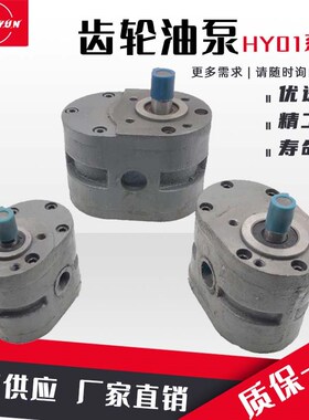 液压齿轮泵HY01-5x10/3X5/8X15/12X2油泵总成HY01-100X25配件大全