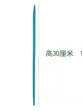 绿色竹签a植物花卉防倒支撑杆室内外绑花固定支架插花杆金钱树单