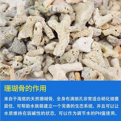 瑚骨材过鱼缸滤材料鱼池珊滤瑚石底砂水族箱造景沙珊POT68Pay稳定